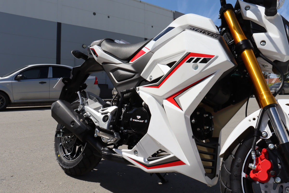 Мотоцикл PROMAX STRYKER 200(49) 2.0 в Боровичах