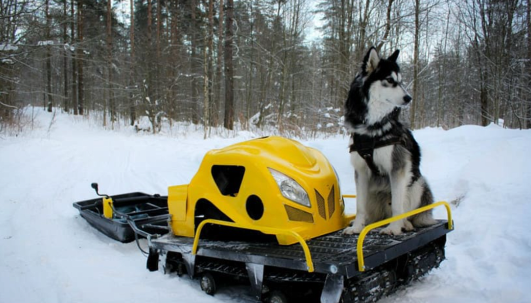 Мотобуксировщик LEBEDEV MOTORS ВОЛКОДАВ POWER V13 в Боровичах