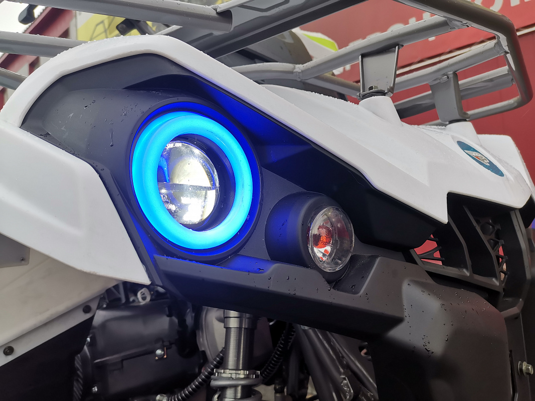 Квадроцикл PROMAX RENEGADE 280 LUX в Боровичах