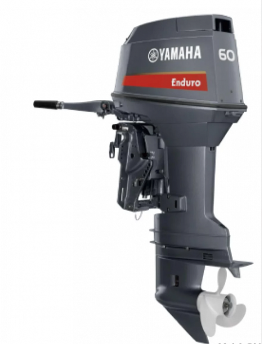 Лодочный мотор YAMAHA E60HMHDL в Боровичах