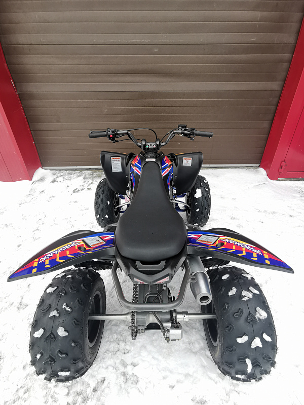 Квадроцикл PROMAX RAPTOR 300 NEW RedBull в Боровичах
