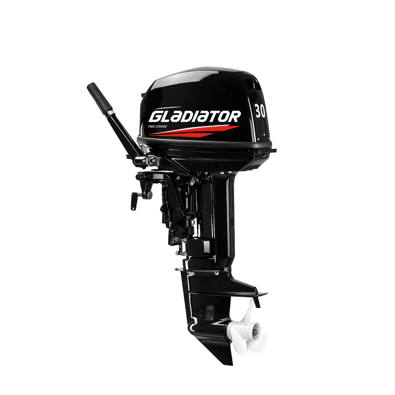 ЛОДОЧНЫЙ МОТОР GLADIATOR G30FHS в Боровичах