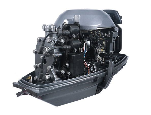 ЛОДОЧНЫЙ МОТОР ALLFA CG T30 FW S в Боровичах