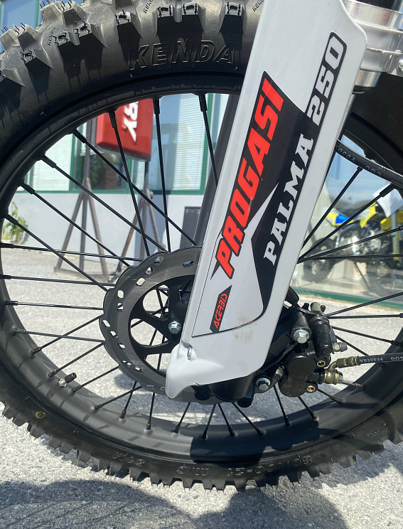 Мотоцикл Progasi PALMA 300 NEW (CB300F) в Боровичах