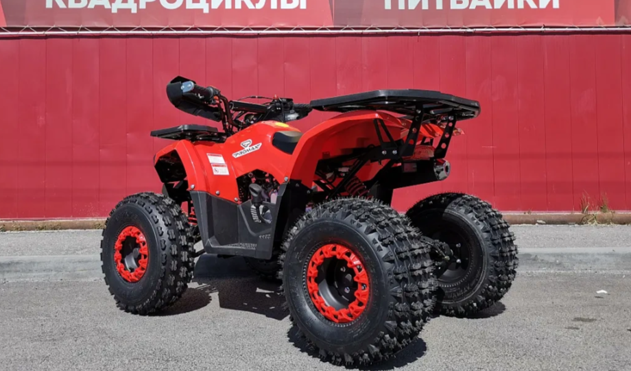 Квадроцикл PROMAX WILD 175 BASIC в Боровичах