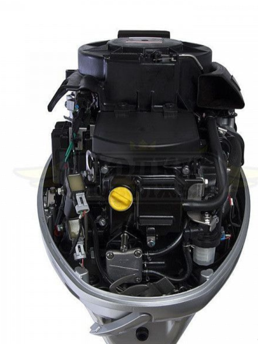 Лодочный мотор SEANOVO SNEF30FEL-EFI в Боровичах