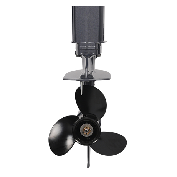 ЛОДОЧНЫЙ МОТОР ALLFA CG Т20 в Боровичах