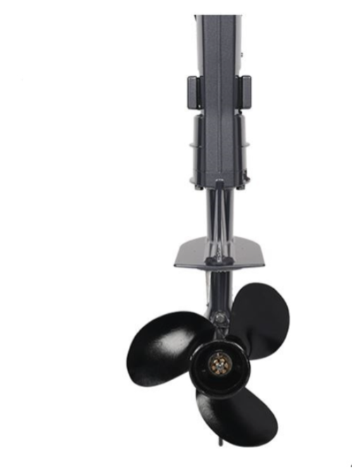 Лодочный мотор ALLFA CG F6 в Боровичах