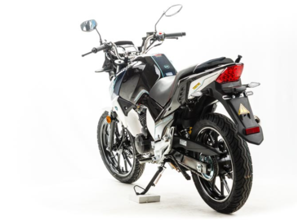 Мотоцикл MOTOLAND (МОТОЛЕНД) FIGHTER 250 в Боровичах