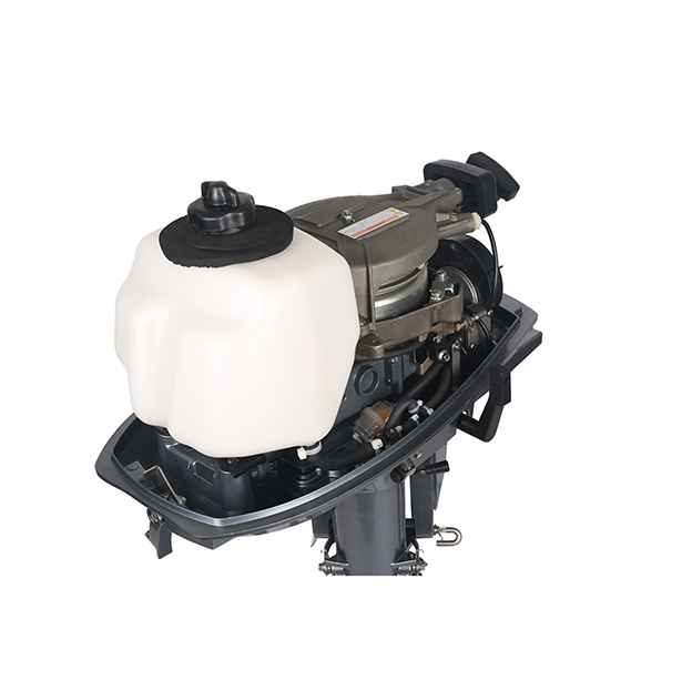 ЛОДОЧНЫЙ МОТОР ALLFA CG T5 в Боровичах