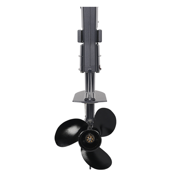 ЛОДОЧНЫЙ МОТОР ALLFA CG T5 в Боровичах