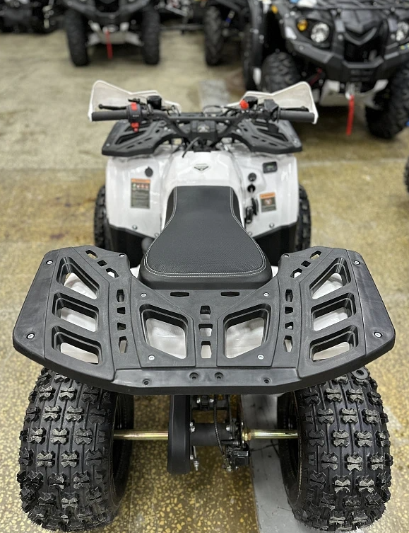 Квадроцикл PROMAX WILD 2.0 190 в Боровичах