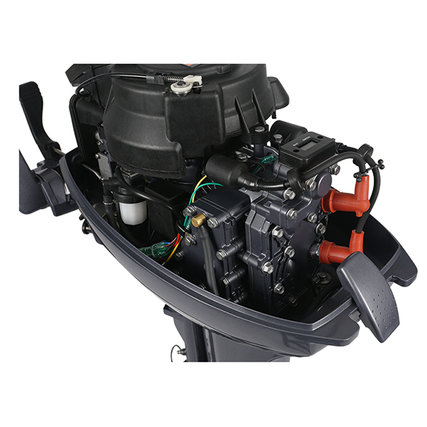 ЛОДОЧНЫЙ МОТОР ALLFA CG Т9,9 в Боровичах