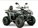 Квадроцикл YACOTA DRAGON LUX LD 150 PRO-SPORT в Боровичах