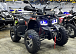 Квадроцикл GBM MAVERICK 300 NEW PREMIUM в Боровичах