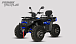 Квадроцикл PROMAX TAURUS 300 MAX-PRO LONG в Боровичах