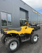 КВАДРОЦИКЛ IRBIS ATV 250  в Боровичах