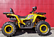 Квадроцикл PROMAX STORM 280 LUX в Боровичах