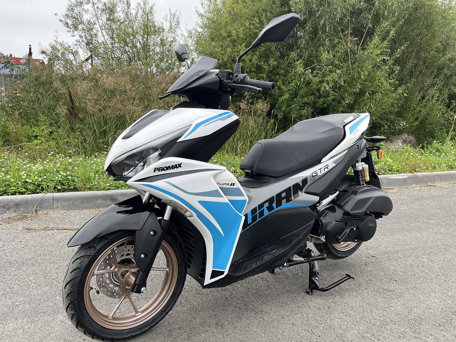 Скутер PROMAX TURAN 250 (49) в Боровичах