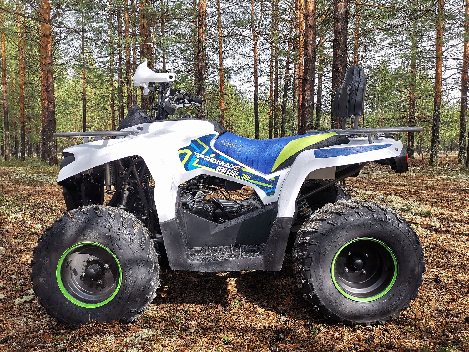 Квадроцикл PROMAX RENEGADE 280 в Боровичах