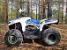 Квадроцикл PROMAX RENEGADE 280 в Боровичах