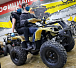 Квадроцикл PROMAX ATV 250 в Боровичах