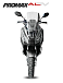 МаксиСкутер PROMAX-HONDA ADV 150 (49) (Inspired by HONDA) в Боровичах