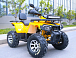 Квадроцикл MOTOLAND (МОТОЛЕНД) VOX200 WILD TRACK X PRO (баланс. вал) в Боровичах