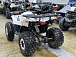 Квадроцикл PROMAX WILD 2.0 190 LUX в Боровичах