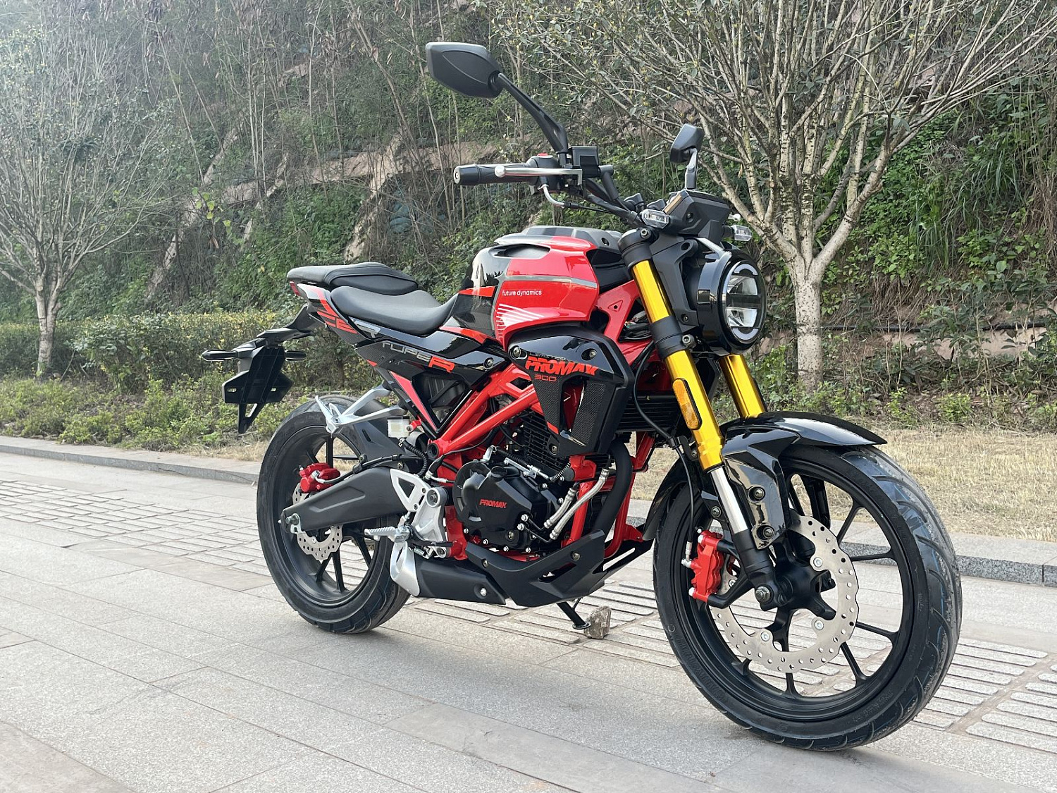 Мотоцикл PROMAX CB300 в Боровичах