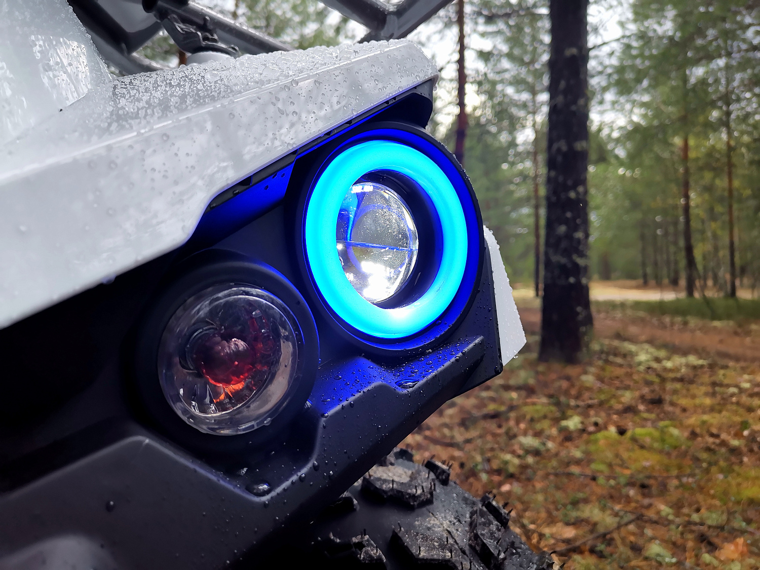 Квадроцикл PROMAX RENEGADE 280 в Боровичах