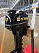 Лодочный мотор STELS 9.9HP в Боровичах