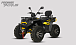 Квадроцикл PROMAX TAURUS 300 MAX-PRO LONG в Боровичах